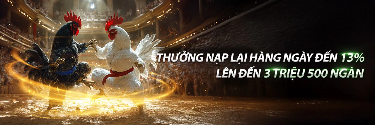 Đá Gà VJ999 Trực Tiếp 2026