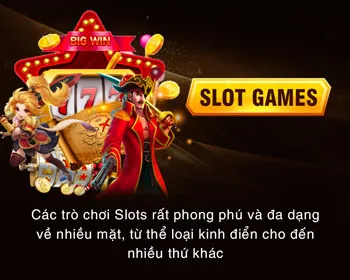 Hỗ trợ trực tuyến VJ999