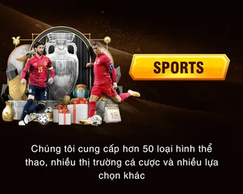 Hotline hỗ trợ VJ999